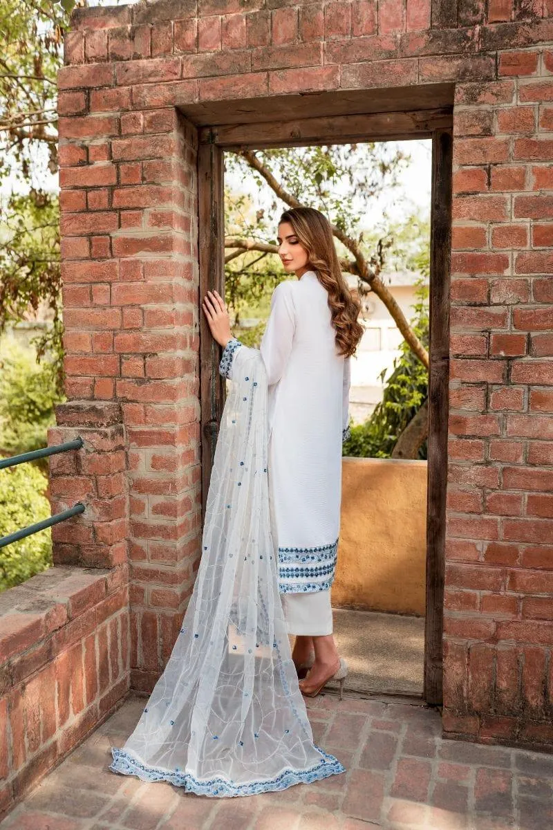 Natasha Kamal - White Cotton Net Shirt and Viscose Silk Pants and Net Dupatta - 3 Piece