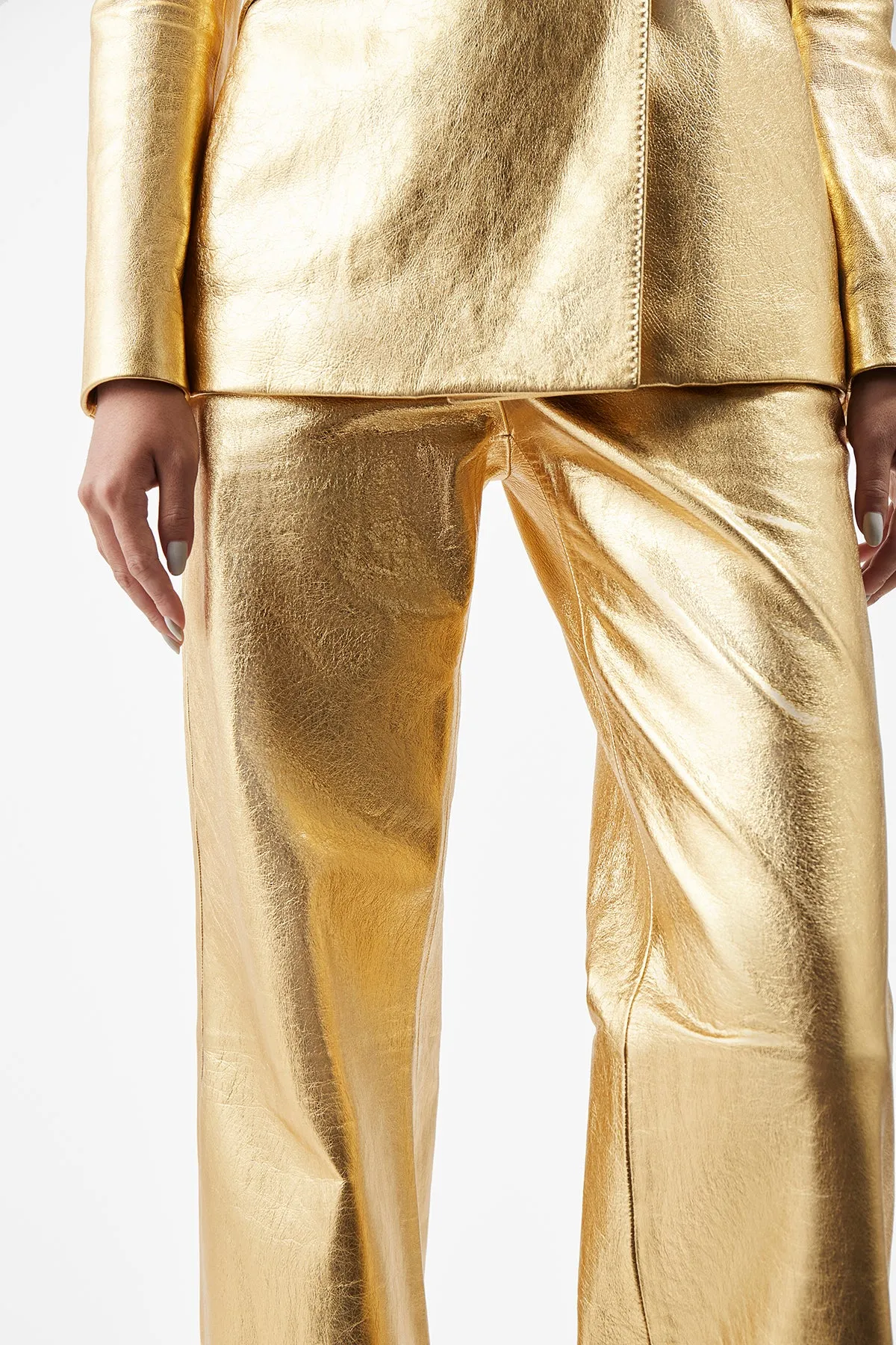 Vesta Pant in Gold Metallic Nappa Leather