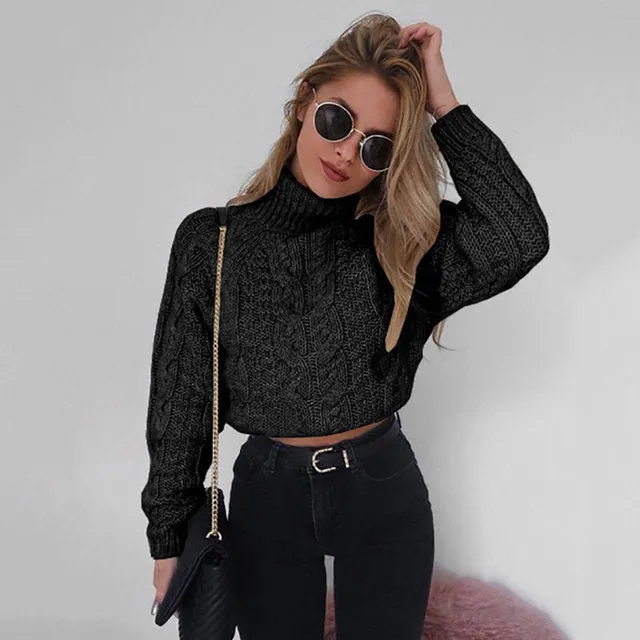 Warm Turtle neck crop fashion sweater