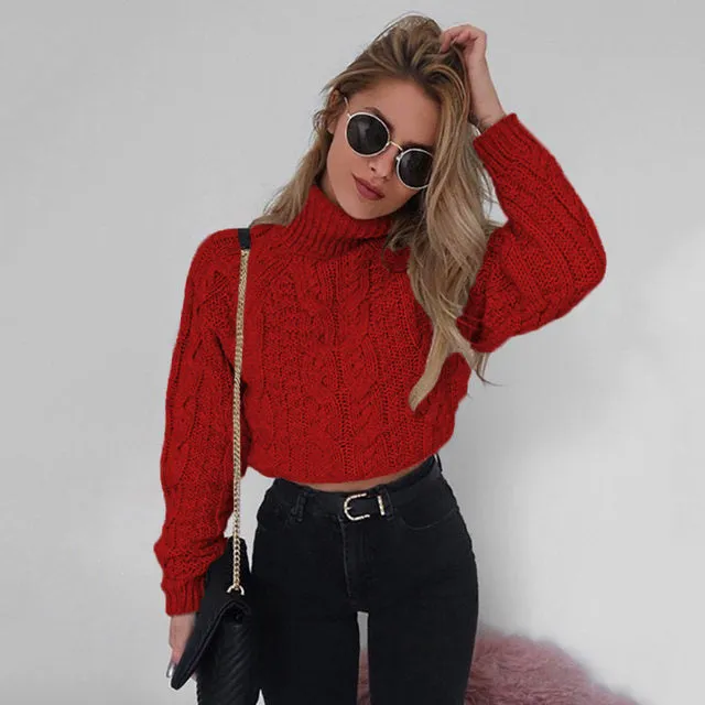 Warm Turtle neck crop fashion sweater